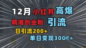 小红书一张图片“引爆”创业粉，单日+200+精准创业粉 可筛选付费意识创业粉【揭秘】_网创资源库