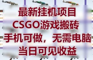 最新挂G项目，CSGO游戏搬砖，手机可做，无需电脑，当日见收益【揭秘】_网创资源库