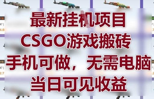 最新挂G项目，CSGO游戏搬砖，手机可做，无需电脑，当日见收益【揭秘】_网创资源库