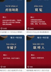 抖音最新涨粉玩法，图文方言暴力涨粉实操，126作品涨粉11W_网创资源库