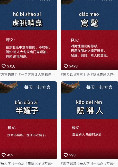 抖音最新涨粉玩法，图文方言暴力涨粉实操，126作品涨粉11W_网创资源库