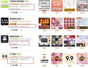 0成本虚拟项目实战手把手教你落地，单店月入5k_网创资源库