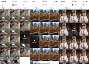 狗熊岭快手连怼技术，好物，涨粉都可以连怼_网创资源库
