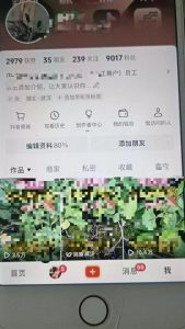 最新抖音暴力起万粉技术，一天涨万粉，发三四个作品涨近万粉_网创资源库