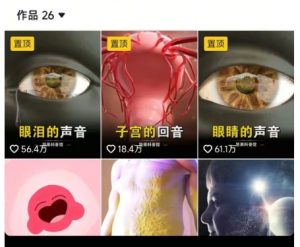 抖音坚果3D动画科普项目，撸视频号分成和抖音伙伴计划，适合零基础小白_网创资源库