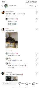 小红书私人定制图项目，附赠一单4W渠道【揭秘】_网创资源库