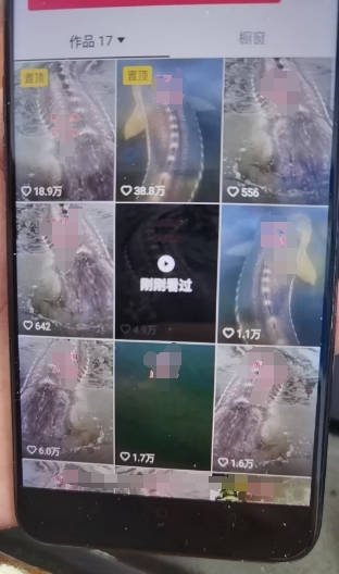 外面卖399的国学佛像原创暴力起号技术，快速起号，7天可达到一个万粉号_网创资源库
