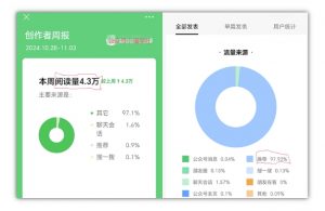2024小绿书项目独家搬砖玩法，赚取流量主收益_网创资源库