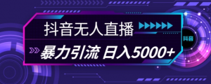 抖音快手视频号全平台通用无人直播引流法，利用图片模板和语音话术，暴力日引流100+创业粉【揭秘】_网创资源库
