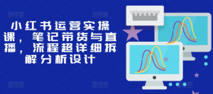 小红书运营实操课，笔记带货与直播，流程超详细拆解分析设计_网创资源库