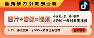 抖音最新暴力引流创业粉，3分钟一条创业类视频，24h轻松加爆一个500人精准创业粉群【揭秘】_网创资源库