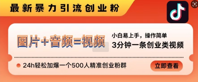 抖音最新暴力引流创业粉，3分钟一条创业类视频，24h轻松加爆一个500人精准创业粉群【揭秘】_网创资源库