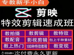 剪映特效教程和运营变现教程，特效剪辑速成班，专教新手小白_网创资源库