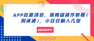 APP拉新项目，保姆级操作教程(附渠道)，小白日躺入几张【揭秘】_网创资源库