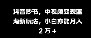 抖音抄书，中视频变现蓝海新玩法，小白亦能月入 过W【揭秘】_网创资源库