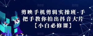 剪映手机剪辑实操班-手把手教你拍出抖音大片【小白必修课】_网创资源库