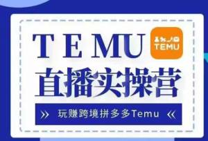 Temu直播实战营，玩赚跨境拼多多Temu，国内电商卷就出海赚美金_网创资源库
