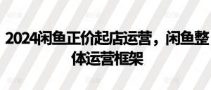 2024闲鱼正价起店运营，闲鱼整体运营框架_网创资源库