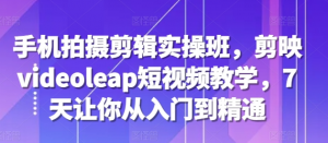 手机拍摄剪辑实操班，剪映videoleap短视频教学，7天让你从入门到精通_网创资源库