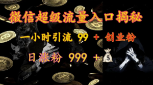 微信超级流量入口揭秘：一小时引流 99 + 创业粉，日涨粉 999 +_网创资源库